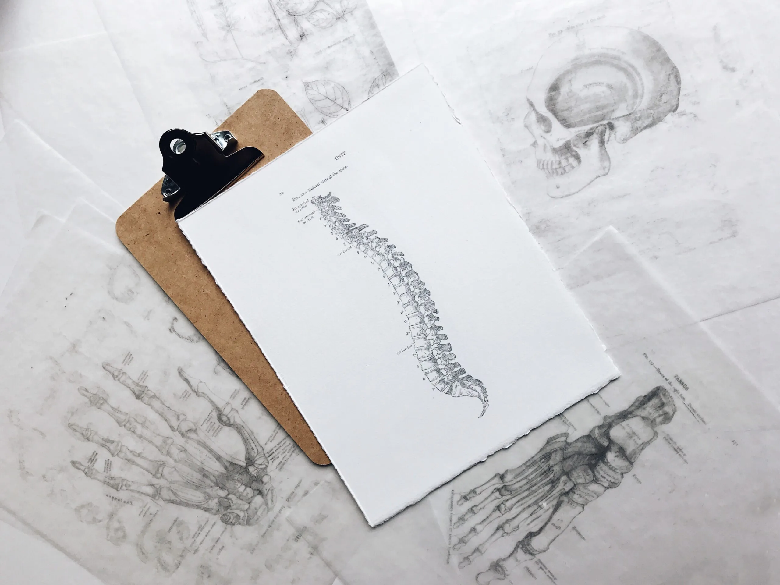 Lower Back Pain and Neck Pain